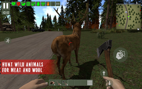 Survivor: Screenshot Rusty Forest
