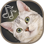 Cover Image of 下载 Cat Sounds Ringtones 10.0 APK