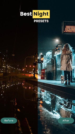 Presets Lightroom:Lr Preset Screen 3