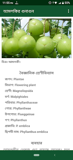 ভেষজ হারবাল