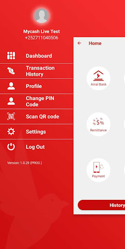MyCash Subscriber - Amtel Ltd Screen 2