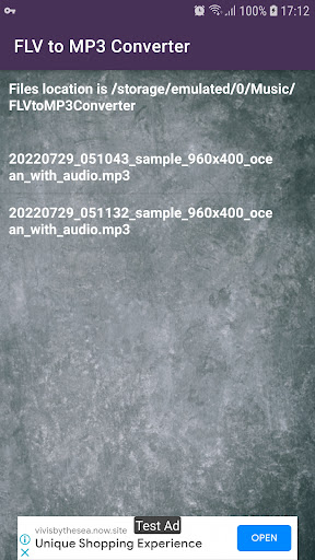 FLV to MP3 Converter Screen 3
