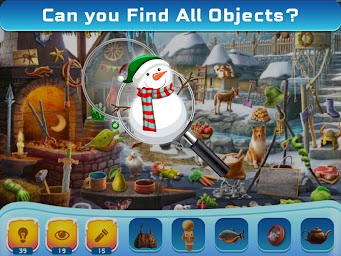 Winter Hidden Objects