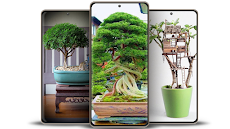 Bonsai Plants Ideas 5000+のおすすめ画像1