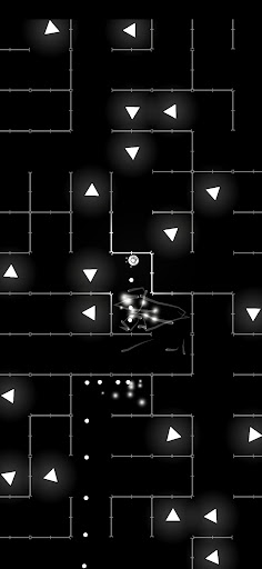Maze Raze Screen 3