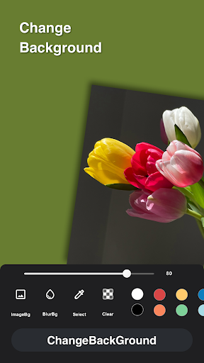 Photo Editor &Color Bg Effect Screen 3