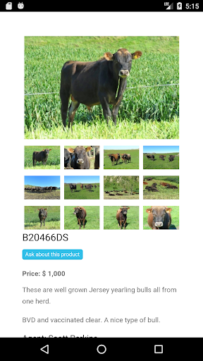 Livestock Exchange Screen 3
