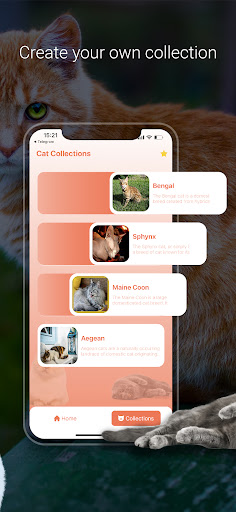 Cat Identifier - Cat Scanner Screen 3