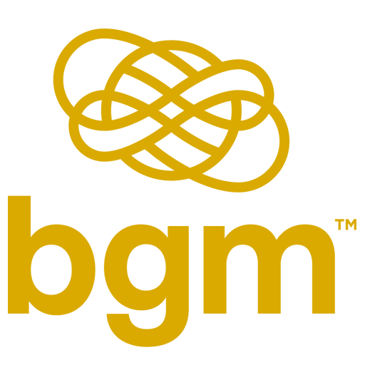 BGM Wealth Partners, LLC logo
