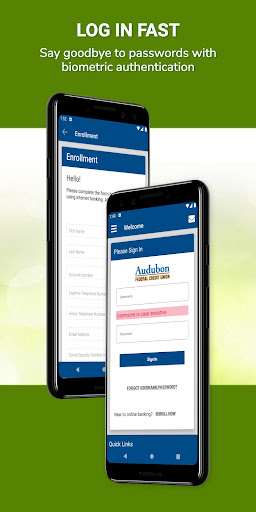 Audubon FCU Screen 3