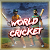 Cricket World League Cup Clue icon