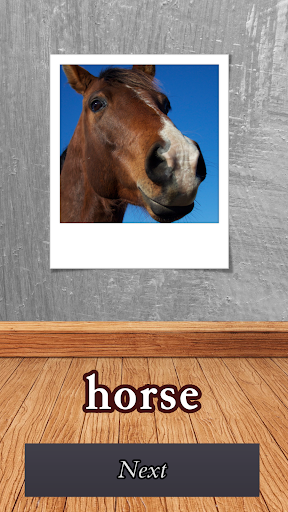 Flash Cards Screen 3