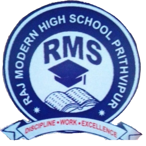 RAJ MODERN SCHOOL logo