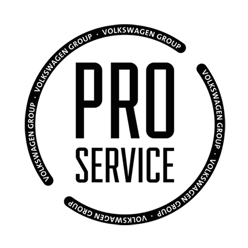 PRO Service 1.2 Icon