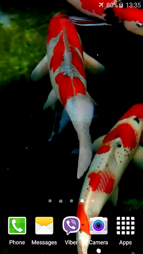 Koi Video Live Wallpaper Screen 2