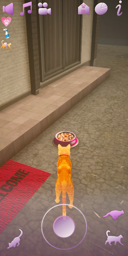 CATLIFE Screen 2