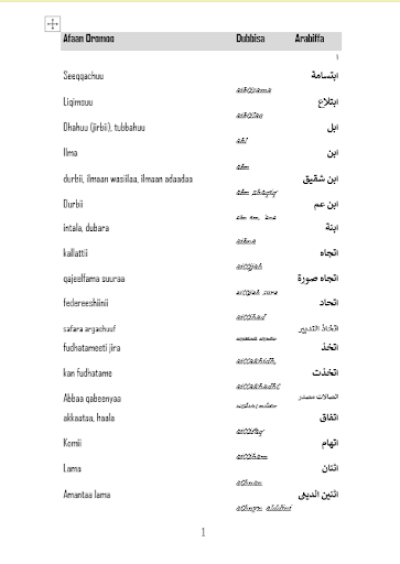 Arabic Afan Oromo Dictionary Screen 3