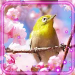 Cover Image of Tải xuống Birds Paradise Live Wallpaper 1.3 APK