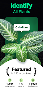 Plantum - Plant Identifier Unknown