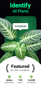 Plantum MOD (Premium Unlocked) 1