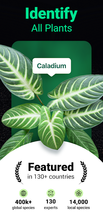 Plantum - Plant Identifier - 3.7.2 - (Android)