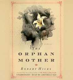 Icon image The Orphan Mother: A Novel