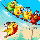 Herunterladen Birds On A Wire: Match 3 Installieren Sie Neueste APK Downloader