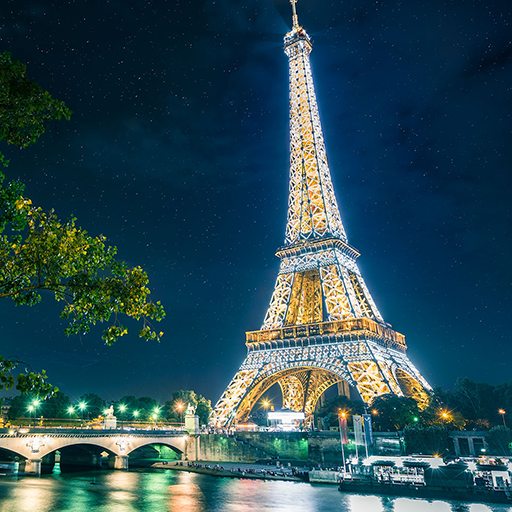 The Eiffel Tower in Paris  Icon