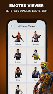 FFFF Skin Tool: Fix Lag 1