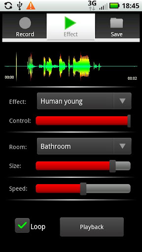 Voice Processor Screen 2