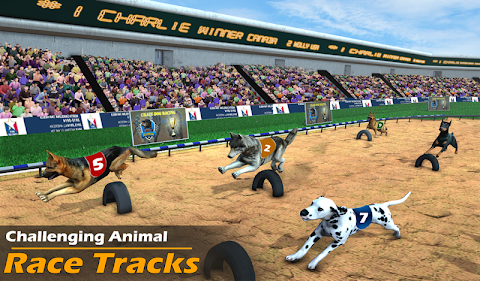 本物の犬のレースゲーム レーシングドッグシミュレーターのおすすめ画像5