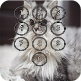 Kitty Cats Keypad Lock Screen icon