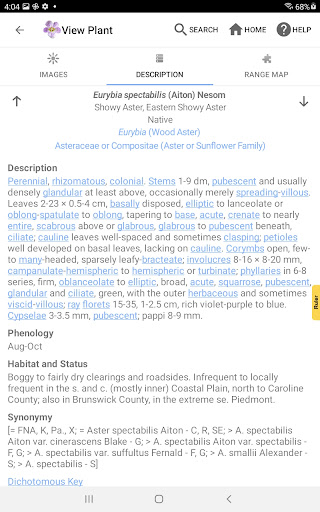Screenshot of Flora of Virginia