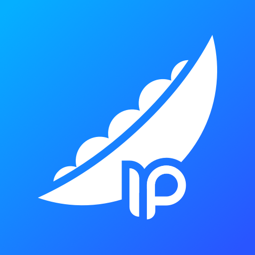 豌豆ip-静态网络安全接入服务 logo