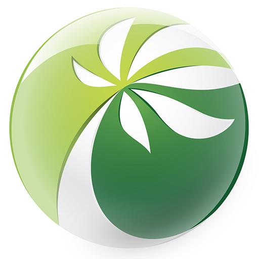 Mundo do Palmito logo