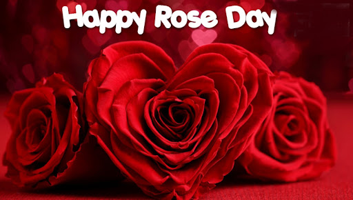 Android application Happy Rose Day Quotes Images screenshort