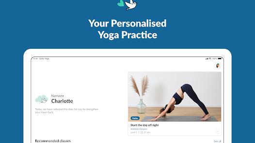 Gotta Yoga Mod APK 2.0.7 (Unlocked)(Pro) Gallery 8