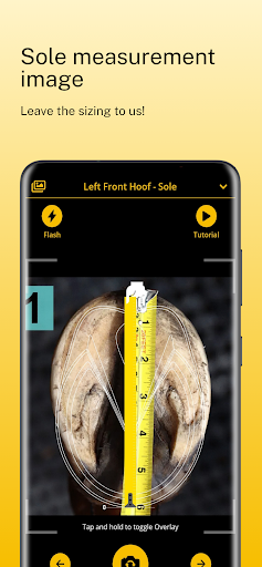 Scoot Boots - Hoof Sizer Screen 3