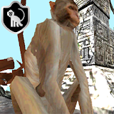 Temple Monkey Run 3D icon