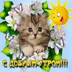 Cover Image of Unduh С Добрым Утром Картинки 1.0.2 APK