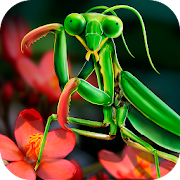 Top 41 Simulation Apps Like Mantis Life and Hunting Simulator. - Best Alternatives