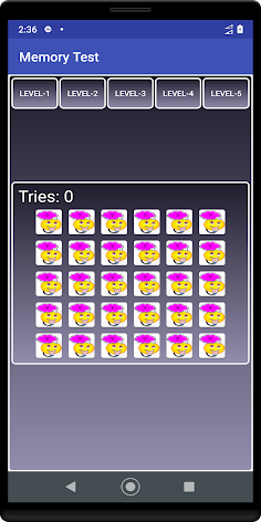 Memory Test - Screenshot 2
