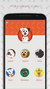 Hashdog - Dog's social network