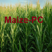 Maize-PC