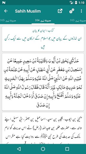 Sahih Muslim Shareef Screen 3