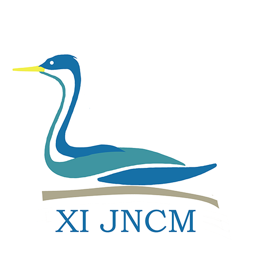 XI JNCM logo