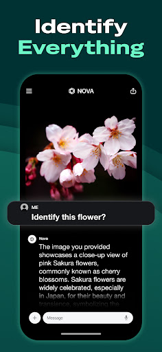AI Chatbot - Nova screenshot 6