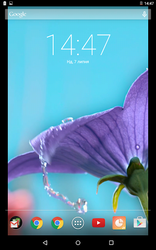 Dew Drop On Flower Live Wallpa