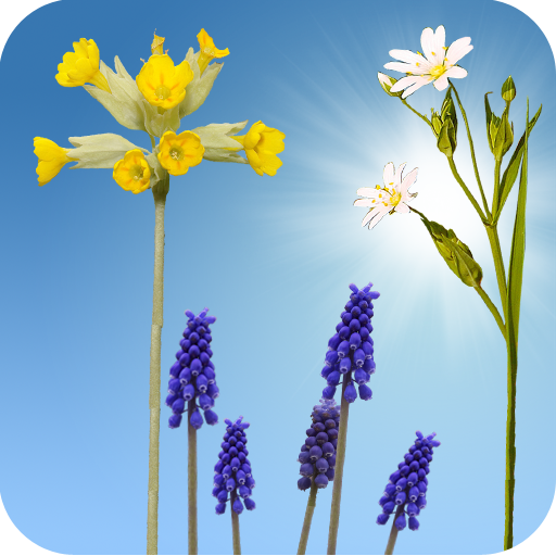 Spring Meadow Live Wallpaper Latest Icon