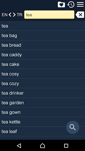Android application English Turkish Dictionary screenshort